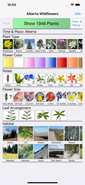 Alberta Wildflowers(圖1)-速報App