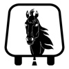 Horse Travel Services