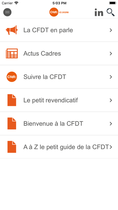 CFDT UES CAPGEMINI screenshot 3