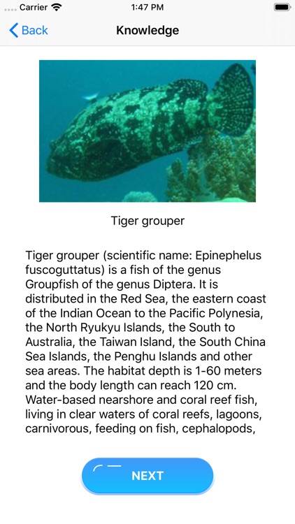 MarineFish screenshot-3