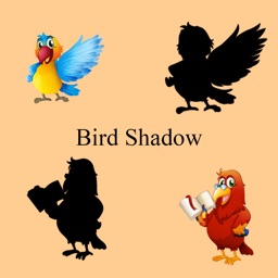 BirdsShadow