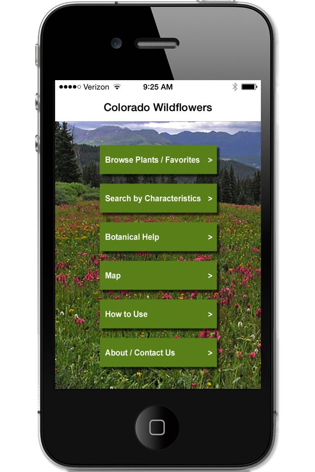 Colorado Rocky Mtn Wildflowers screenshot 2