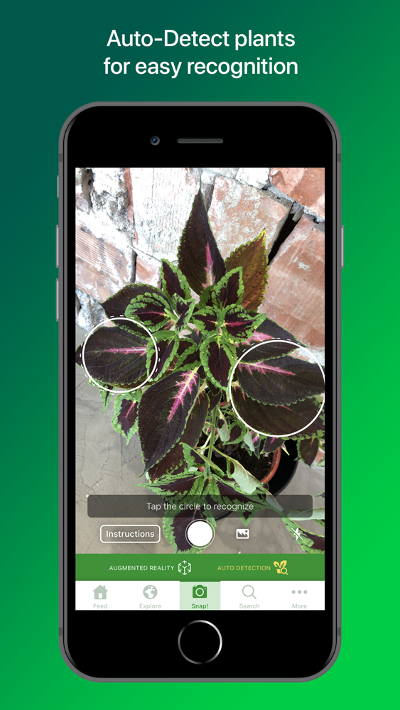 PlantSnap Plant Identification App for iPhone Free Download PlantSnap