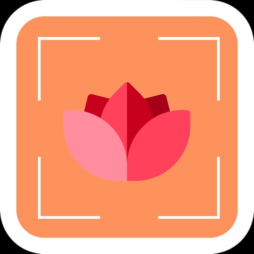 PlantDetect Lite - Identifier