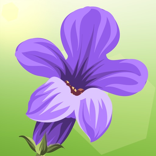 Lucky Lavender iOS App