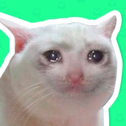 Best Cat Stickers WAStickerApp