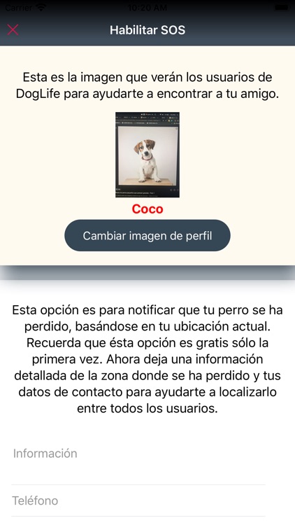 Doglife screenshot-3