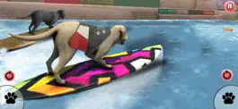 Game screenshot Dog Surfing Championship 2020 mod apk