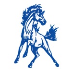 Alpha Colts Sports - AYAA