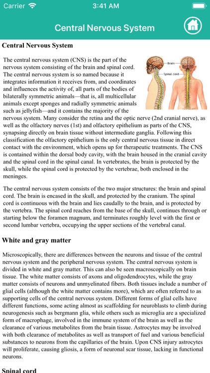 Human Anatomy : Nervous System screenshot-3