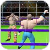 Wrestling Cage Fightings wrestlingfigs 