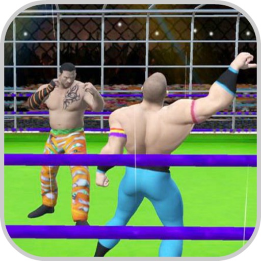 Wrestling Cage Fightings Icon