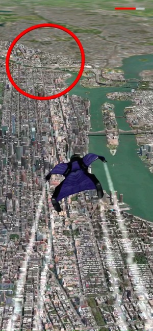 Wingsuit Jumper