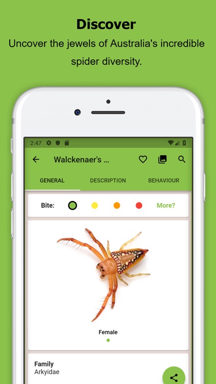 Spidentify screenshot-3