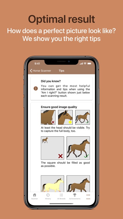 Horse Scanner screenshot-8