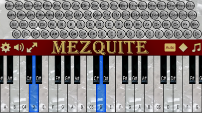 Mezquite Piano Accordion screenshot 2