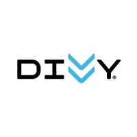 Divvy Bikes ne fonctionne pas? problème ou bug?