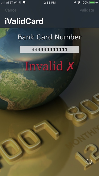 iValidCard screenshot-4