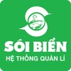 SBOnline -  Quản lý doanh thu