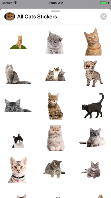 All Cats Stickers screenshot 2