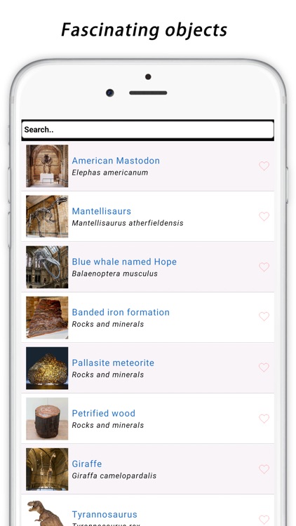 Natural History Museum Full screenshot-3