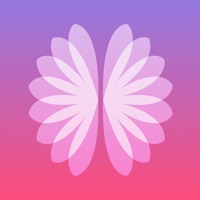 MSCopilot - Suivi de votre SEP sur PC