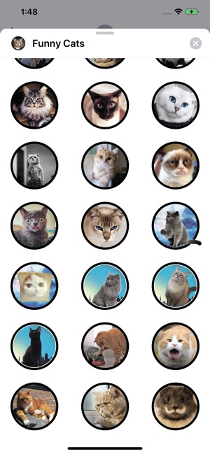 Funny Cats Sticker Pack(圖2)-速報App