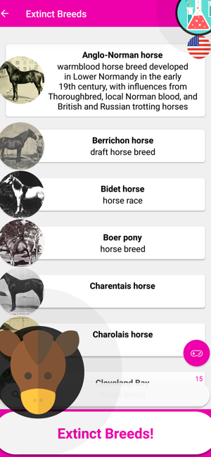 Horse Quiz Game 2019(圖5)-速報App