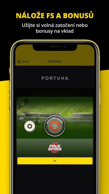 Fortuna Casino screenshot-3