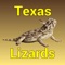 The first app in our Texas Wildlife series