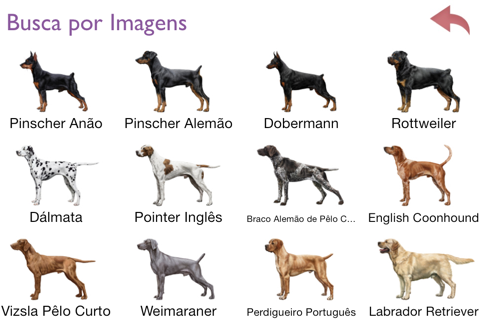 Dogs - Identification Guide screenshot 2