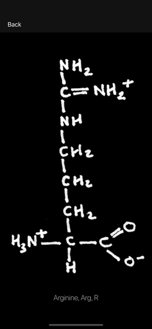 Amino Acid Academy(圖2)-速報App