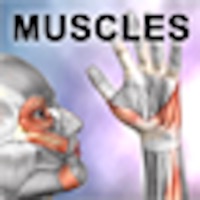 Learn Muscles: Anatomy apk