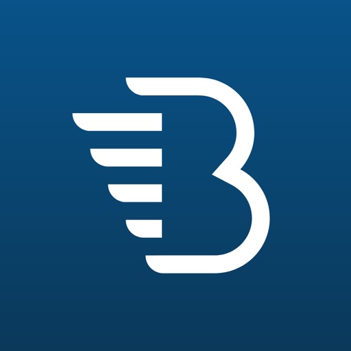 BelkaCar: Moscow carsharing