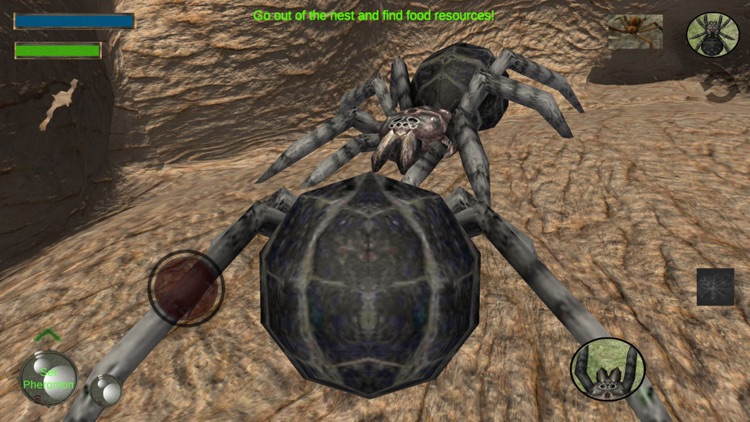 Spider Colony Simulator