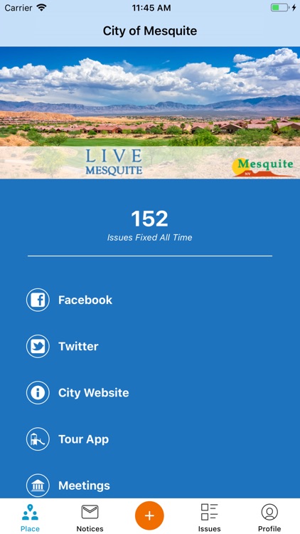 Live Mesquite
