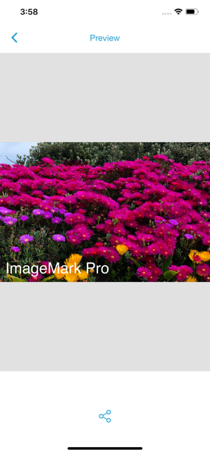 Image Mark Pro 4.0(圖4)-速報App