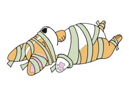 Corgimoji - Halloween Costume Celebration sticker pack is now available for download this Halloween