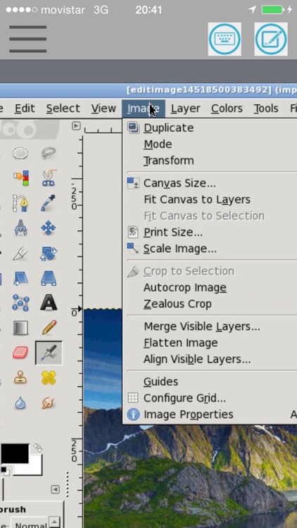 XGimp Image Editor Paint Tool