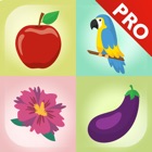 Top 50 Education Apps Like Kids All in One Pro - Best Alternatives