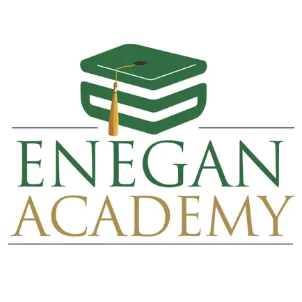 Enegan Academy Читы