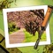 Turn your favorite photos into eye catching wood block prints with this effects app
