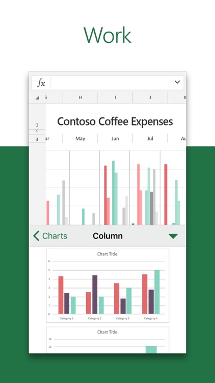 Microsoft Excel