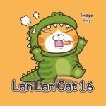 Lan Lan Cat 16 Image