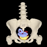myProlapse sur PC