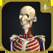3D運動解剖学 teamLabBody