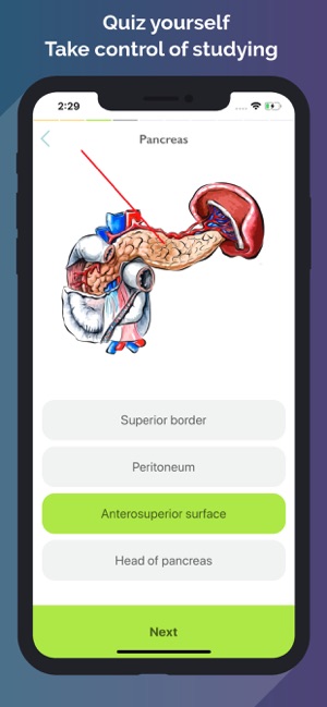 Easy Anatomy - Atlas & Quizzes(圖5)-速報App