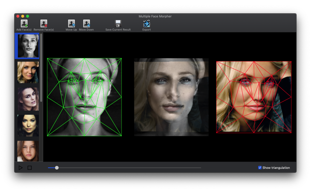 Multiple Face Morpher