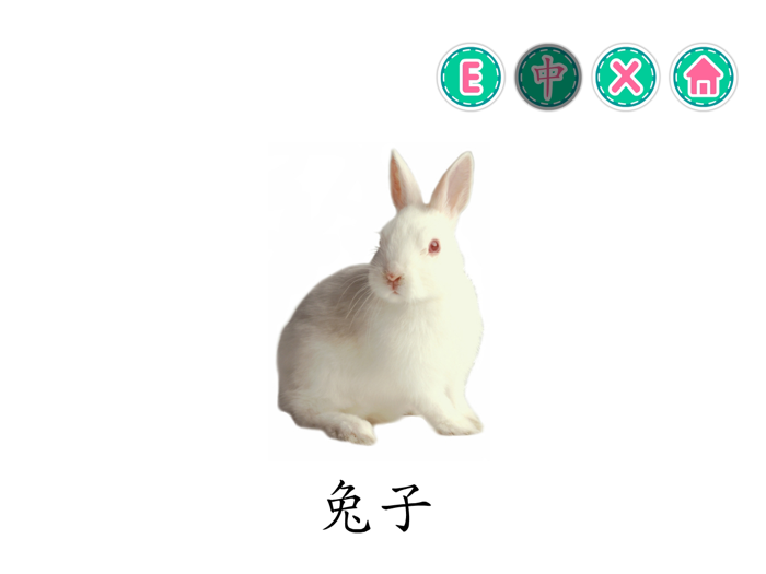 PicDic - Animals Eng-Chinese