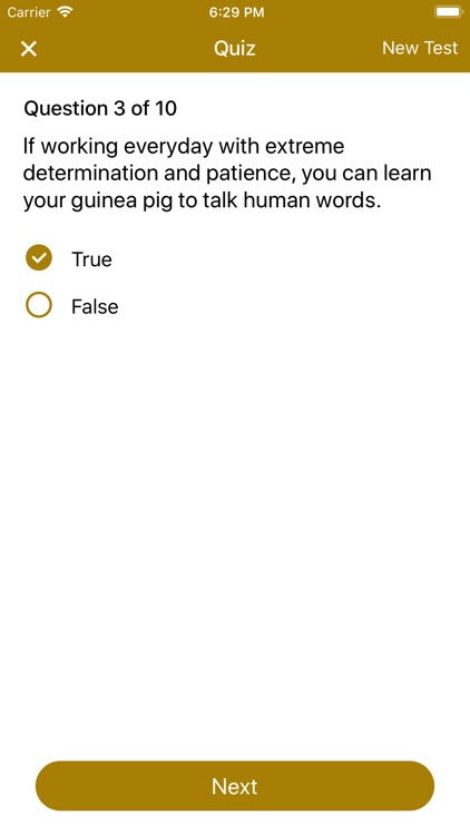 Guinea Pig Guide